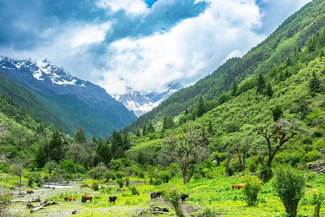 穿毕徒步地理手册:沉浸式穿越神山秘境澳门新葡京此生必走!收好四姑娘山长(图9) 穿毕徒步地理手册:沉浸式穿越神山秘境澳门新葡京此生必走!收好四姑娘山长(图9)