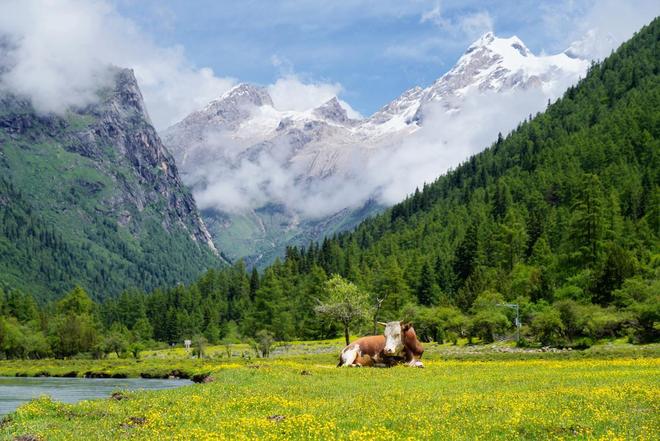穿毕徒步地理手册:沉浸式穿越神山秘境澳门新葡京此生必走!收好四姑娘山长(图4) 穿毕徒步地理手册:沉浸式穿越神山秘境澳门新葡京此生必走!收好四姑娘山长(图4)