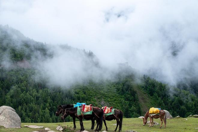穿毕徒步地理手册:沉浸式穿越神山秘境澳门新葡京此生必走!收好四姑娘山长(图19) 穿毕徒步地理手册:沉浸式穿越神山秘境澳门新葡京此生必走!收好四姑娘山长(图19)