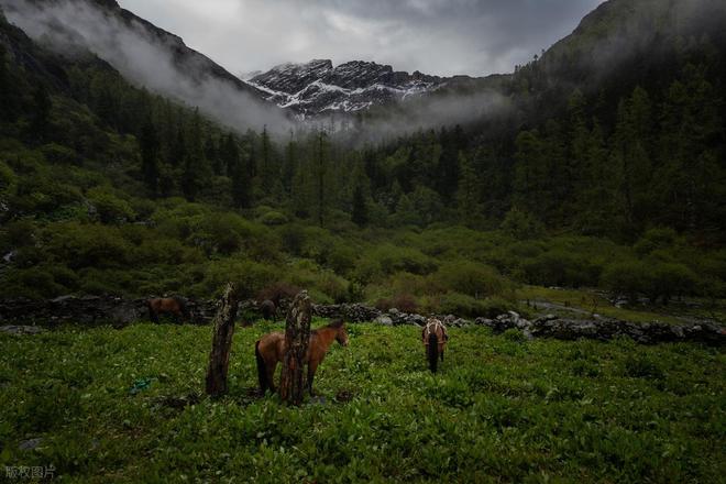 穿毕徒步地理手册:沉浸式穿越神山秘境澳门新葡京此生必走!收好四姑娘山长(图18) 穿毕徒步地理手册:沉浸式穿越神山秘境澳门新葡京此生必走!收好四姑娘山长(图18)