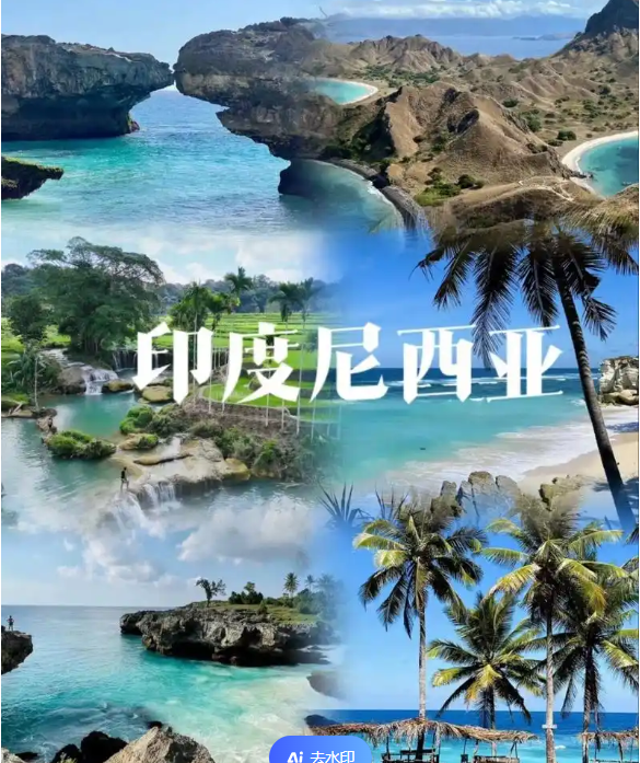 际电商(印尼)产业博览会新葡京博彩202